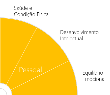 roda da vida - area pessoal - saúde, emoções e intelecto