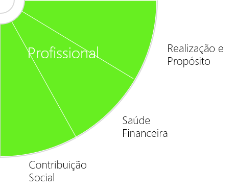 roda da vida - area profissional - propostio, finanças e social
