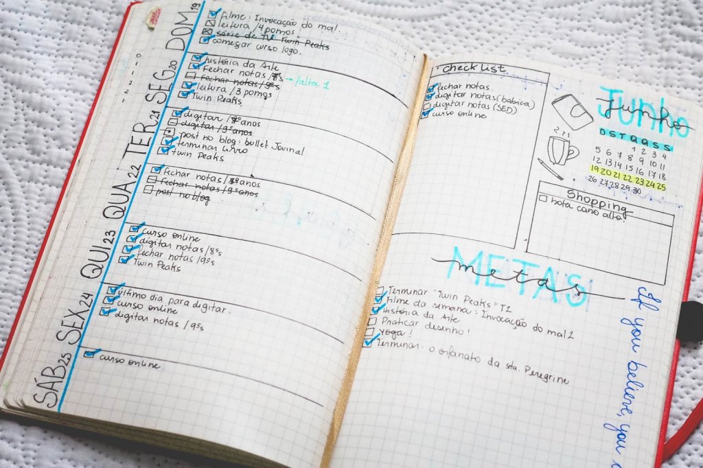 método bullet journal bujo exemplo anita bem criada